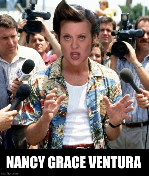 Pet detective | NANCY GRACE VENTURA | image tagged in nancy grace,jim carrey,jim carey,ace ventura | made w/ Imgflip meme maker