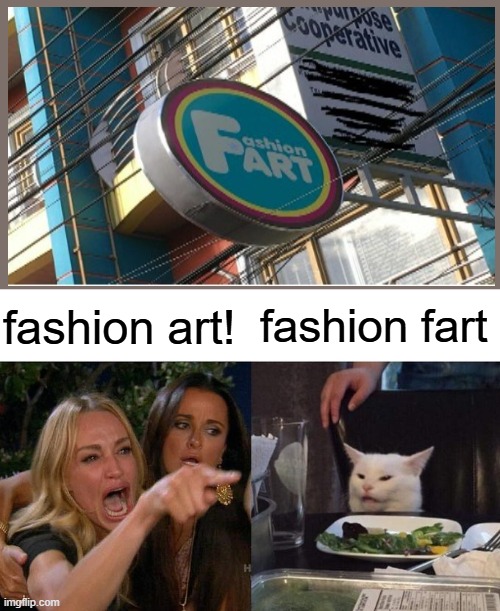 Woman Yelling At Cat | fashion fart; fashion art! | image tagged in memes,woman yelling at cat | made w/ Imgflip meme maker