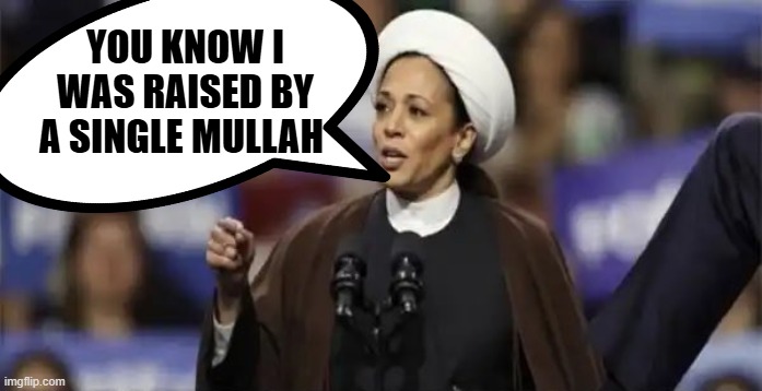 YOU KNOW I WAS RAISED BY A SINGLE MULLAH | made w/ Imgflip meme maker