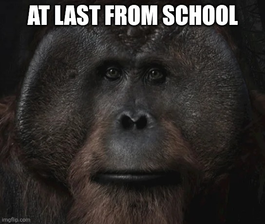 10mar2026 | AT LAST FROM SCHOOL | image tagged in maurice stare | made w/ Imgflip meme maker
