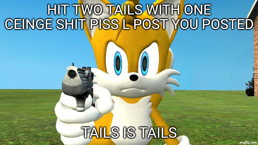 Tails with a Gun | HIT TWO TAILS WITH ONE CEINGE SHIT PISS L POST YOU POSTED TAILS IS TAILS | image tagged in tails with a gun | made w/ Imgflip meme maker