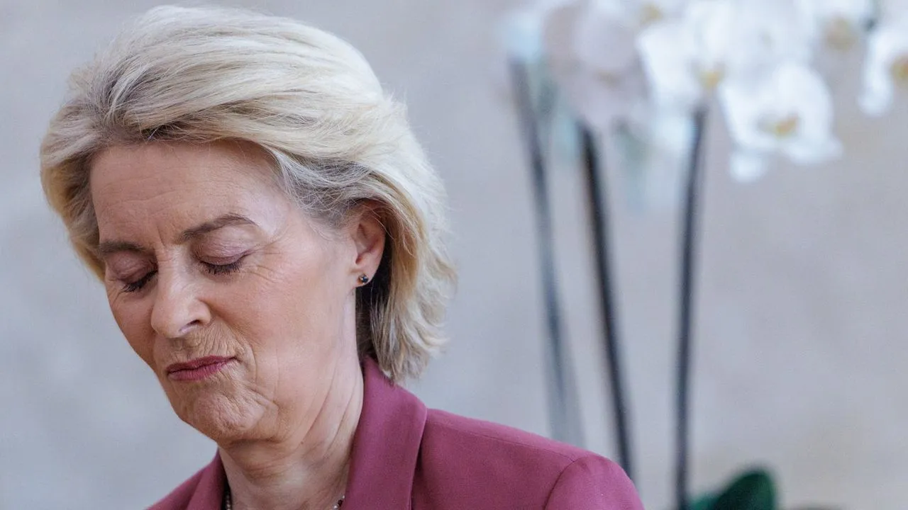 Ursula von der Leyen Blank Meme Template