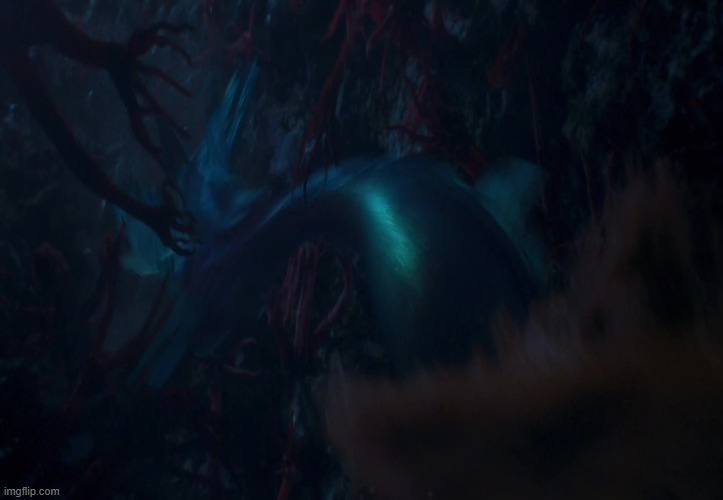 mermaid swimming | image tagged in the little mermaid,ariel,princess ariel,fairy tail,little mermaid,swimming | made w/ Imgflip meme maker