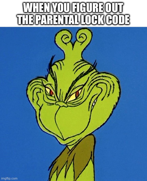 Time to watch all their NC-17 movies | WHEN YOU FIGURE OUT THE PARENTAL LOCK CODE | image tagged in grinch smile,parents,movies | made w/ Imgflip meme maker