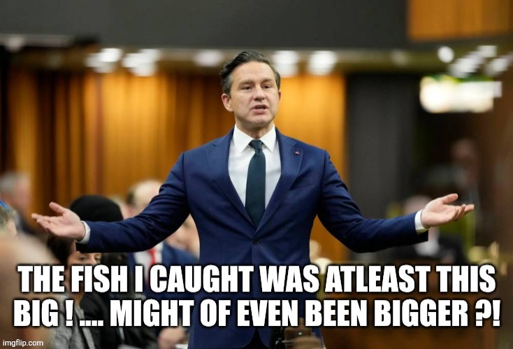 Canadian politics | image tagged in political meme | made w/ Imgflip meme maker