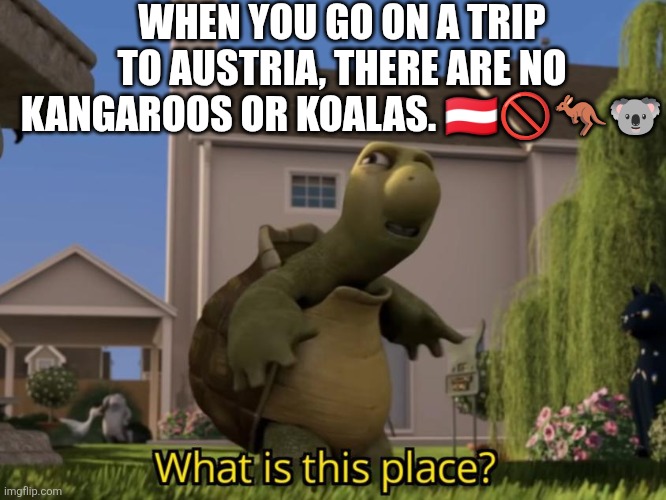 We know we won't be able to find kangaroos or koalas in Austria! Not because its name sounds similar to Australia. | WHEN YOU GO ON A TRIP TO AUSTRIA, THERE ARE NO KANGAROOS OR KOALAS. 🇦🇹🚫🦘🐨 | image tagged in what is this place,austria,no kangaroos or koalas in austria,koala,kangaroo,confusion | made w/ Imgflip meme maker