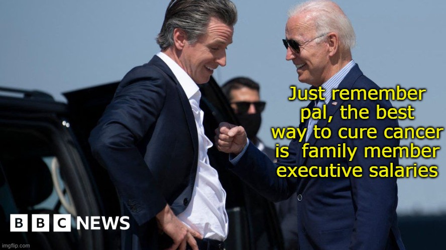 Just remember pal, the best way to cure cancer is  family member executive salaries | made w/ Imgflip meme maker