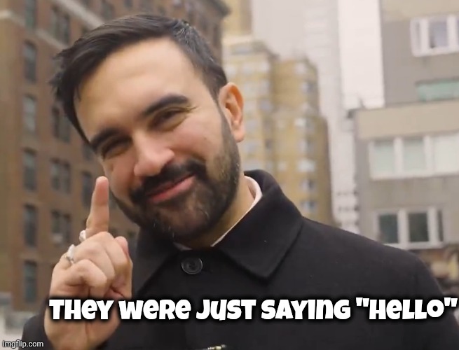 Mamdani | They were just saying "Hello" | image tagged in mamdani | made w/ Imgflip meme maker