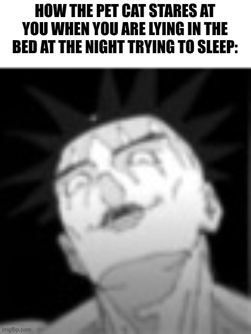 HOW THE PET CAT STARES AT YOU WHEN YOU ARE LYING IN THE BED AT THE NIGHT TRYING TO SLEEP: | image tagged in memes,night,kitten | made w/ Imgflip meme maker