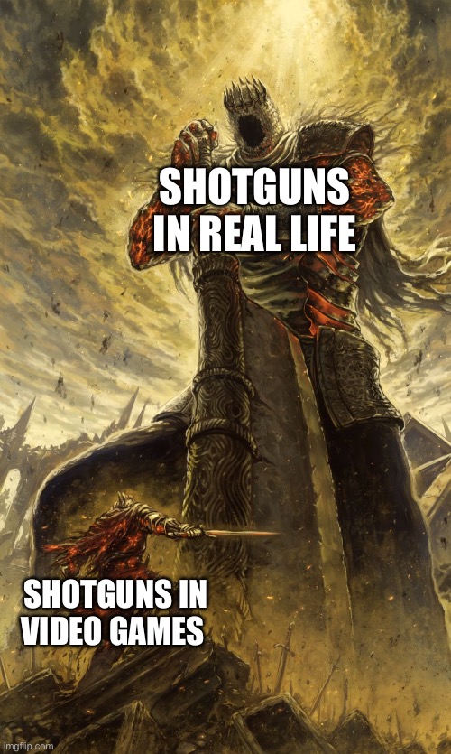 Shotguns should do more then 7 damage per shot | SHOTGUNS IN REAL LIFE; SHOTGUNS IN VIDEO GAMES | image tagged in yhorm dark souls,gaming,shotgun | made w/ Imgflip meme maker