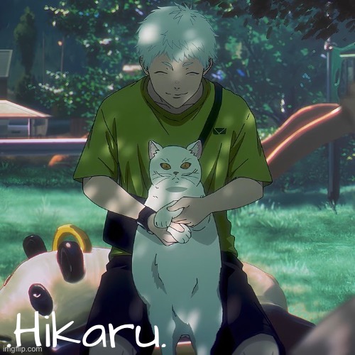 High Quality dai hikaru temp Blank Meme Template