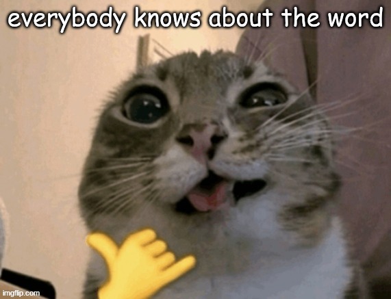 rigby | everybody knows about the word | image tagged in rigby | made w/ Imgflip meme maker