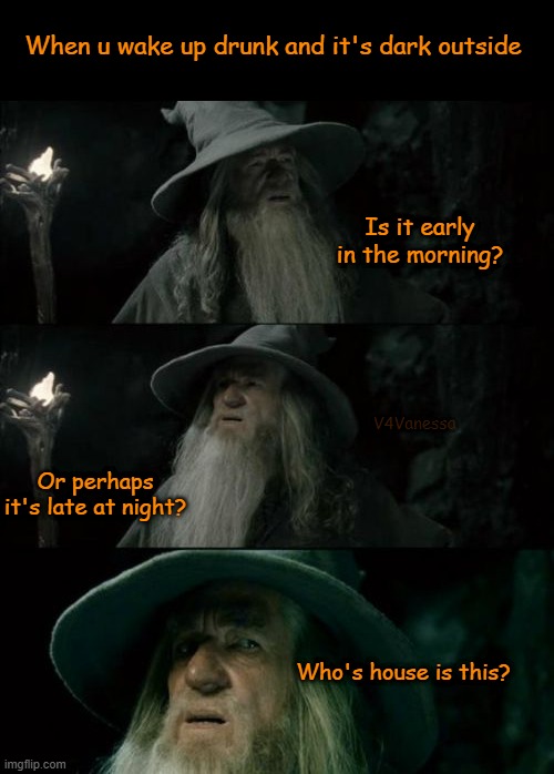 Really should stop drinkin | When u wake up drunk and it's dark outside; Is it early in the morning? V4Vanessa; Or perhaps it's late at night? Who's house is this? | image tagged in memes,drunk,alcohol,confused,lotr | made w/ Imgflip meme maker
