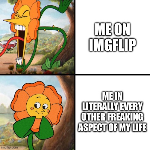 angry flower | ME ON IMGFLIP; ME IN LITERALLY EVERY OTHER FREAKING ASPECT OF MY LIFE | image tagged in angry flower | made w/ Imgflip meme maker