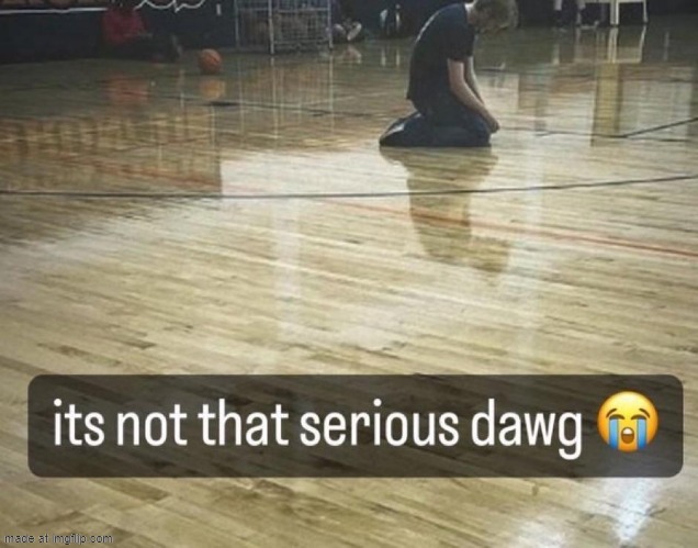 image tagged in it's not that serious dawg | made w/ Imgflip meme maker