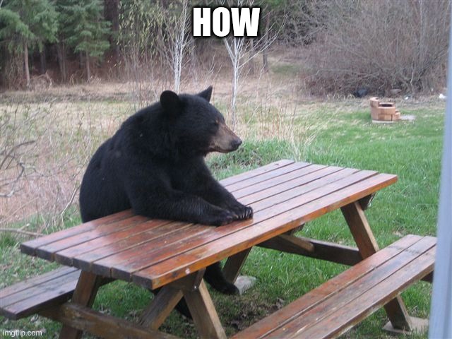 Patient Bear | HOW | image tagged in patient bear | made w/ Imgflip meme maker