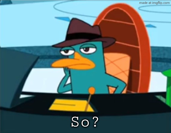 Perry the Platypus - Just No | So? | image tagged in perry the platypus - just no | made w/ Imgflip meme maker