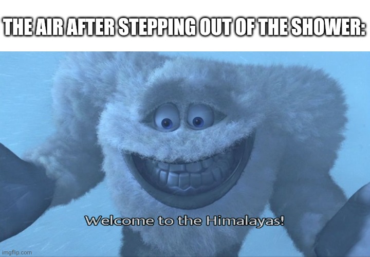 Cold | THE AIR AFTER STEPPING OUT OF THE SHOWER: | image tagged in welcome to the himalayas | made w/ Imgflip meme maker