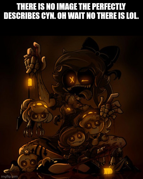 THERE IS NO IMAGE THE PERFECTLY DESCRIBES CYN. OH WAIT NO THERE IS LOL. | made w/ Imgflip meme maker