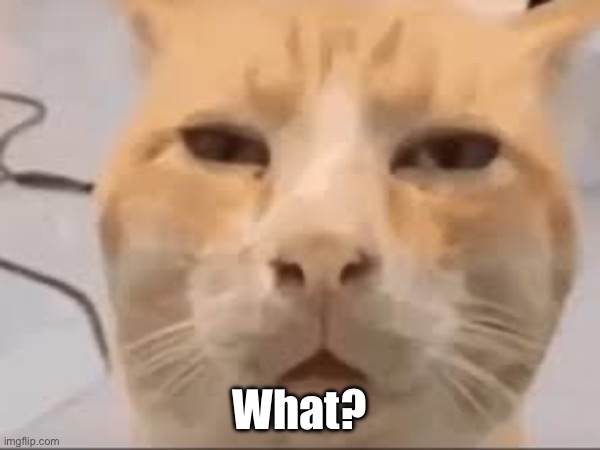What? | made w/ Imgflip meme maker