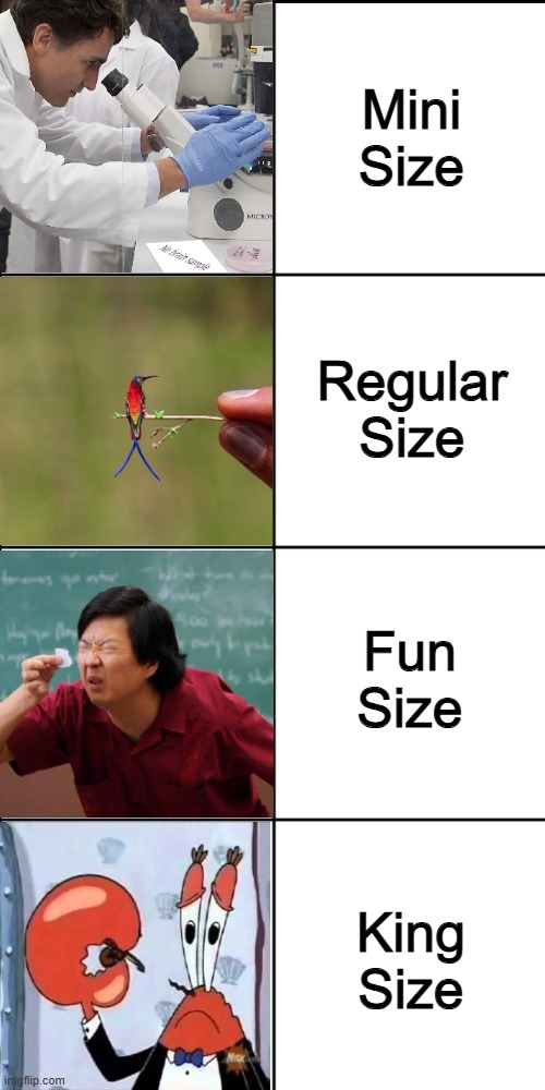 candy your mom says you can buy in a nutshell | Mini Size; Regular Size; Fun Size; King Size | image tagged in blank 8 square panel template,funny,memes,candy | made w/ Imgflip meme maker