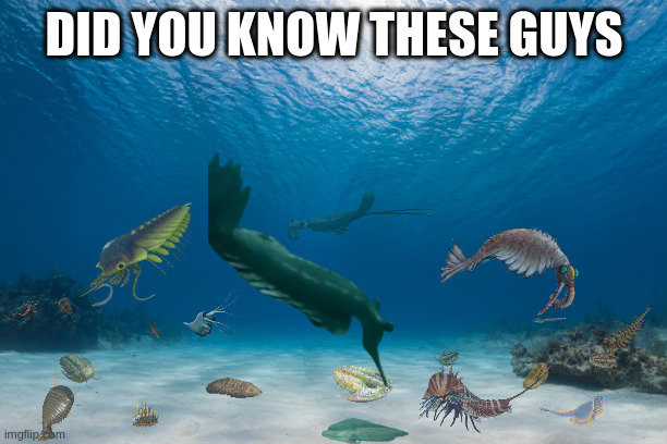 DID YOU KNOW THESE GUYS | image tagged in recreated cambrian ocean | made w/ Imgflip meme maker