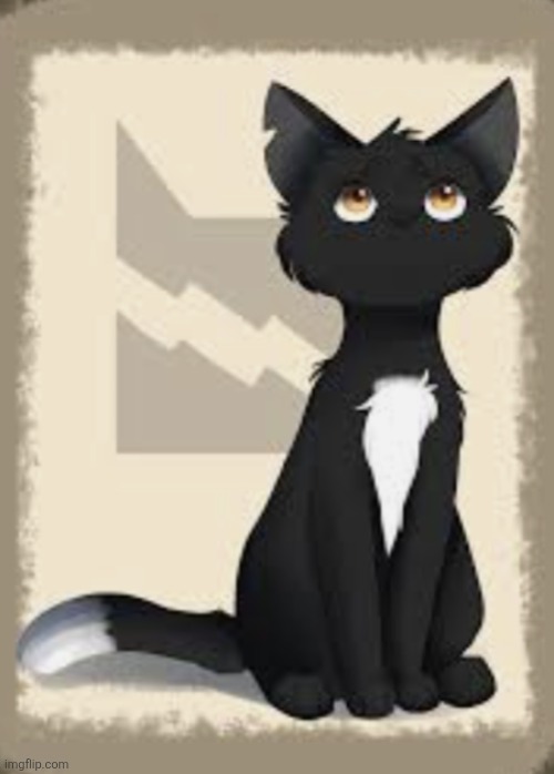 Ravenpaw | image tagged in ravenpaw | made w/ Imgflip meme maker