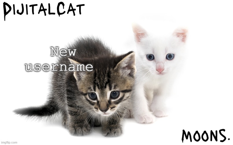 moons and dijitalcat kitty temp | New username | image tagged in moons and dijitalcat kitty temp | made w/ Imgflip meme maker