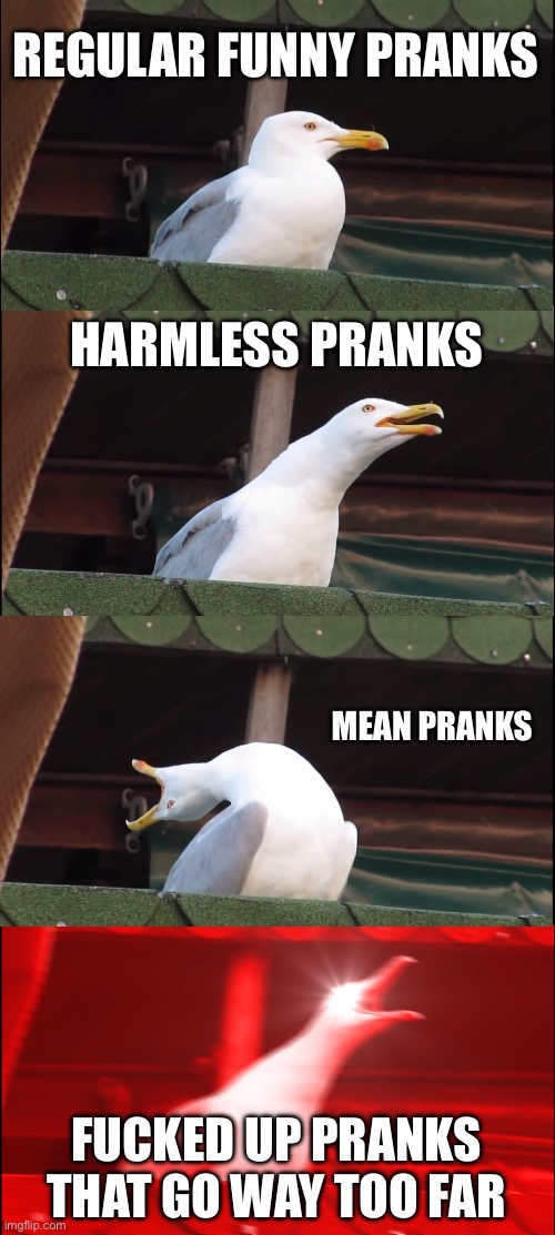 Inhaling Seagull Meme | REGULAR FUNNY PRANKS HARMLESS PRANKS MEAN PRANKS FUCKED UP PRANKS THAT GO WAY TOO FAR | image tagged in memes,inhaling seagull | made w/ Imgflip meme maker