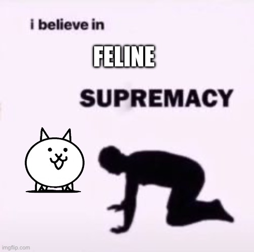 I believe in supremacy | FELINE | image tagged in i believe in supremacy | made w/ Imgflip meme maker