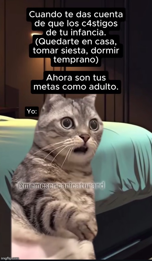 am94dv.jpg