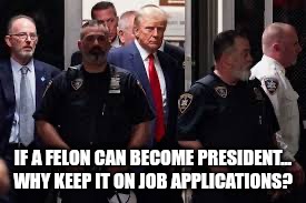 Props to Ice T | IF A FELON CAN BECOME PRESIDENT...
WHY KEEP IT ON JOB APPLICATIONS? | image tagged in donald trump arrested,donald trump,trump unfit unqualified dangerous,maga,crooked | made w/ Imgflip meme maker