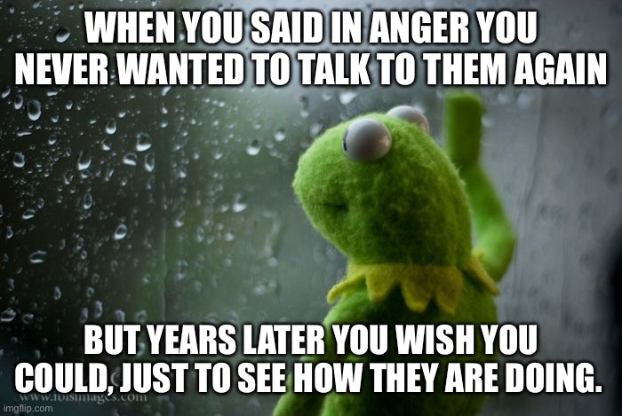 Regret saying you never wanted to talk again | WHEN YOU SAID IN ANGER YOU NEVER WANTED TO TALK TO THEM AGAIN; BUT YEARS LATER YOU WISH YOU COULD, JUST TO SEE HOW THEY ARE DOING. | image tagged in kermit window | made w/ Imgflip meme maker