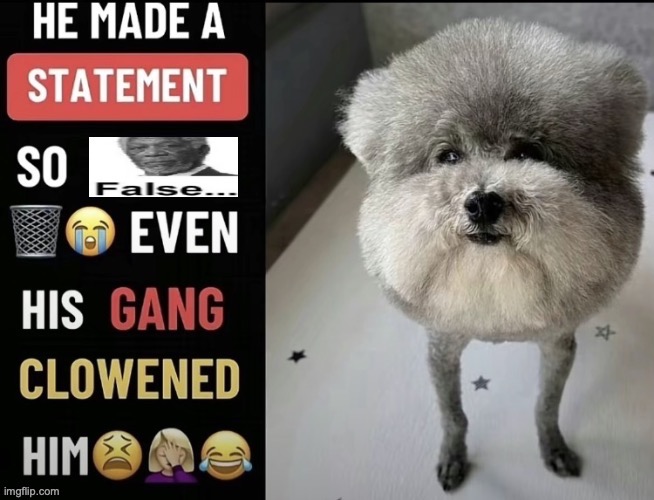he made a statement so false | image tagged in he made a statement so false | made w/ Imgflip meme maker