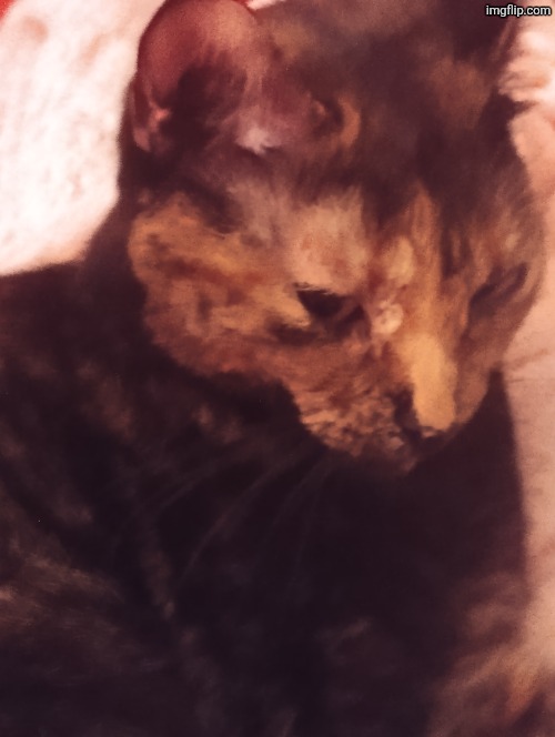 kbity | made w/ Imgflip meme maker