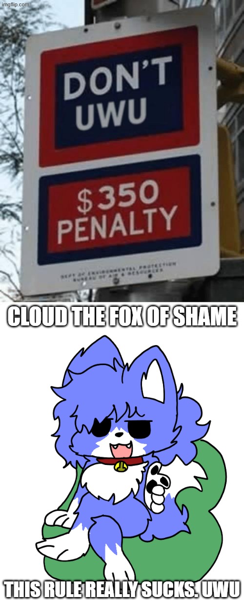 Bottom Picture by CloudPaws | CLOUD THE FOX OF SHAME; THIS RULE REALLY SUCKS. UWU | image tagged in don't uwu,cloud pointing,memes,don't,uwu,fox | made w/ Imgflip meme maker