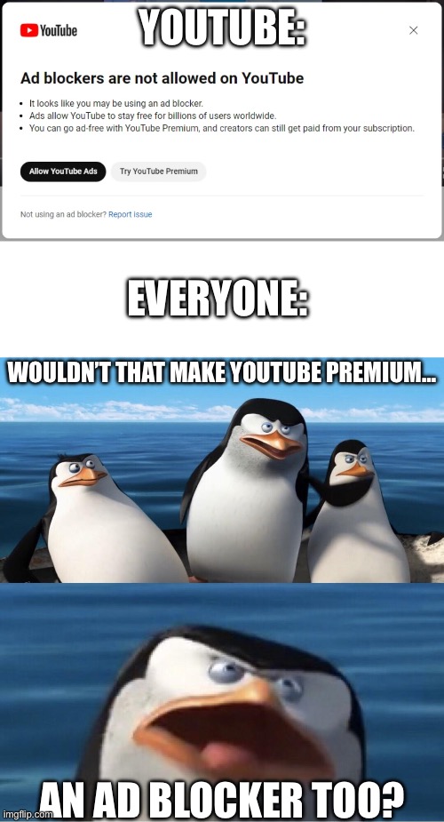 That’s some irony right there | YOUTUBE:; EVERYONE:; WOULDN’T THAT MAKE YOUTUBE PREMIUM…; AN AD BLOCKER TOO? | image tagged in wouldn't that make you,youtube,youtube premium,adblock,irony,confused confusing confusion | made w/ Imgflip meme maker