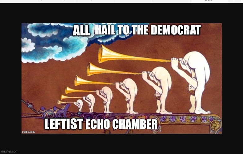 Hail to the leftest echo chamber | DEMOCRAT LEFTIST ALL | image tagged in hail to the leftest echo chamber | made w/ Imgflip meme maker