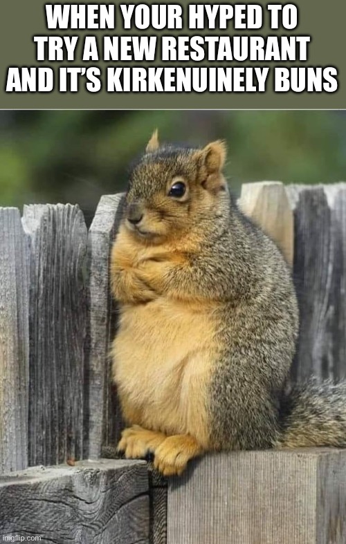 So much hype… | WHEN YOUR HYPED TO TRY A NEW RESTAURANT AND IT’S KIRKENUINELY BUNS | image tagged in annoyed squirrel | made w/ Imgflip meme maker