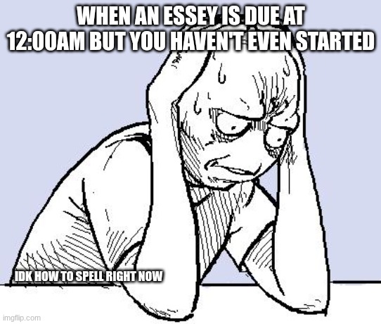 :0 | WHEN AN ESSEY IS DUE AT 12:00AM BUT YOU HAVEN'T EVEN STARTED; IDK HOW TO SPELL RIGHT NOW | image tagged in stressed meme | made w/ Imgflip meme maker