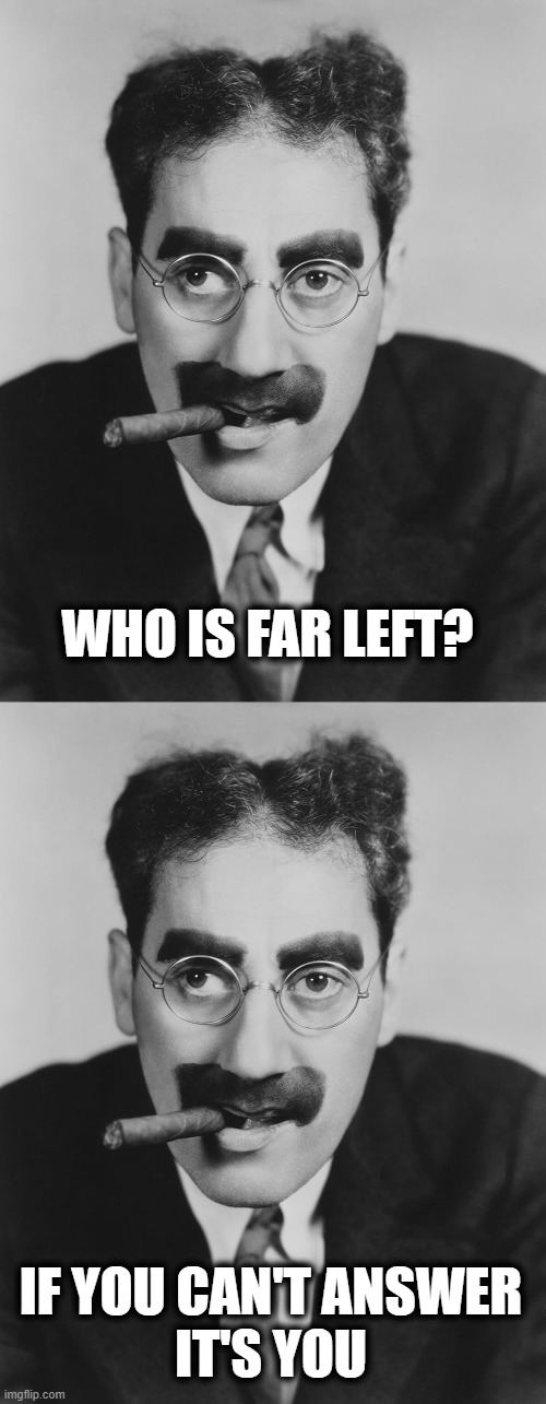 More Democrat Logic | WHO IS FAR LEFT? IF YOU CAN'T ANSWER
IT'S YOU | image tagged in democrats | made w/ Imgflip meme maker