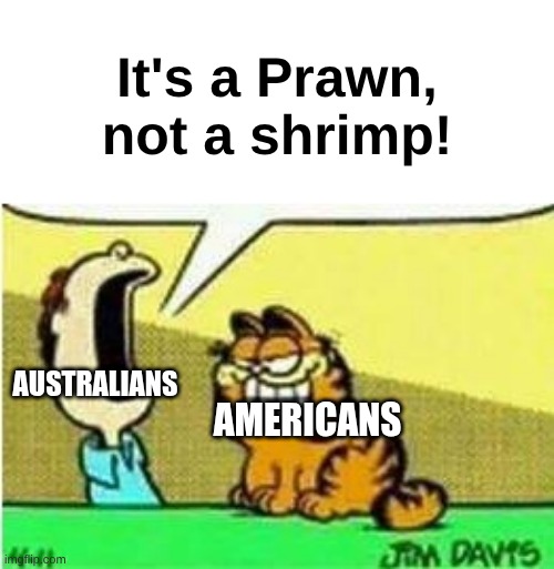 John Yelling at Garfield | It's a Prawn, not a shrimp! AUSTRALIANS; AMERICANS | image tagged in john yelling at garfield | made w/ Imgflip meme maker