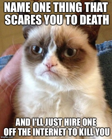 Grumpy Cat | NAME ONE THING THAT SCARES YOU TO DEATH AND I'LL JUST HIRE ONE OFF THE INTERNET TO KILL YOU | image tagged in memes,grumpy cat | made w/ Imgflip meme maker