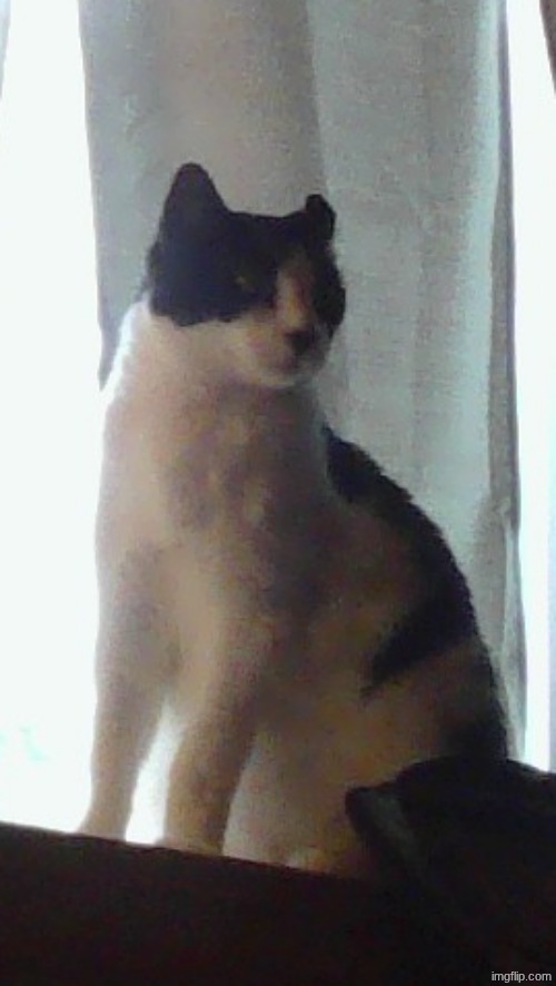 the king of the food, George! | made w/ Imgflip meme maker