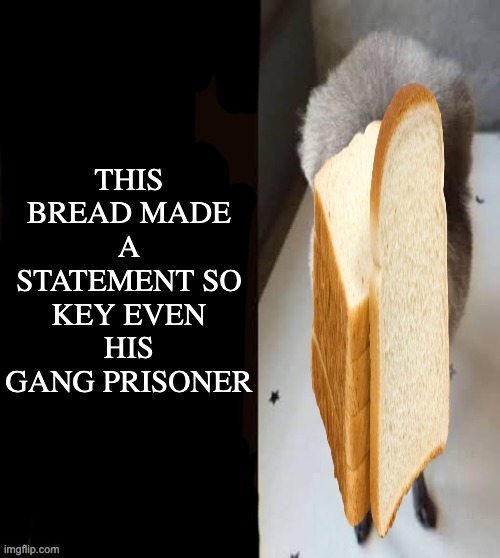 he made a statement blank | THIS BREAD MADE A STATEMENT SO KEY EVEN HIS GANG PRISONER | image tagged in he made a statement blank | made w/ Imgflip meme maker
