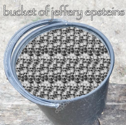 bucket of jeffery epstein Blank Meme Template