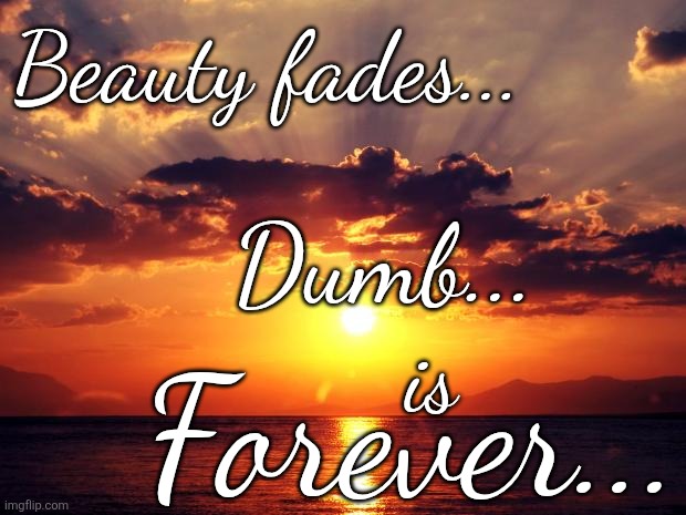 Sunset | Beauty fades... Dumb... Forever... is | image tagged in sunset | made w/ Imgflip meme maker