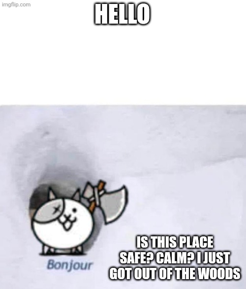Hai | HELLO; IS THIS PLACE SAFE? CALM? I JUST GOT OUT OF THE WOODS | image tagged in bonjour | made w/ Imgflip meme maker