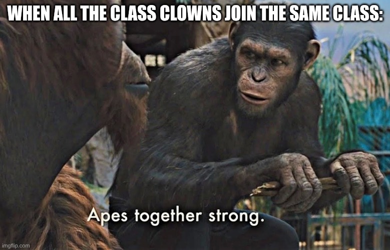 Apes Together Strong | WHEN ALL THE CLASS CLOWNS JOIN THE SAME CLASS: | image tagged in apes together strong | made w/ Imgflip meme maker