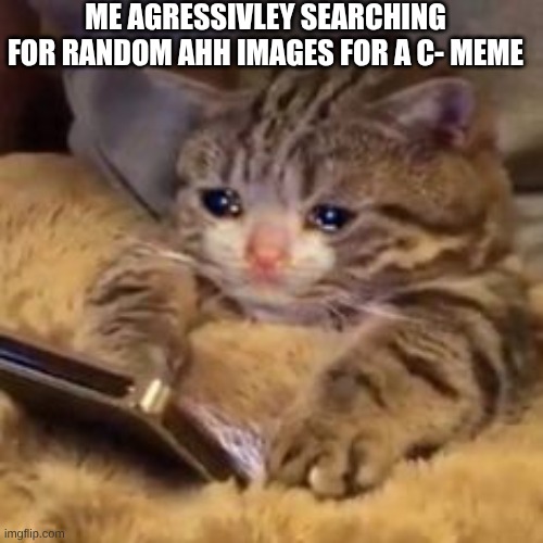 Crying cat on phone | ME AGRESSIVLEY SEARCHING FOR RANDOM AHH IMAGES FOR A C- MEME | image tagged in crying cat on phone | made w/ Imgflip meme maker